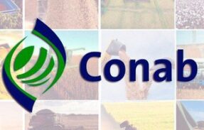 Concurso CONAB 2025